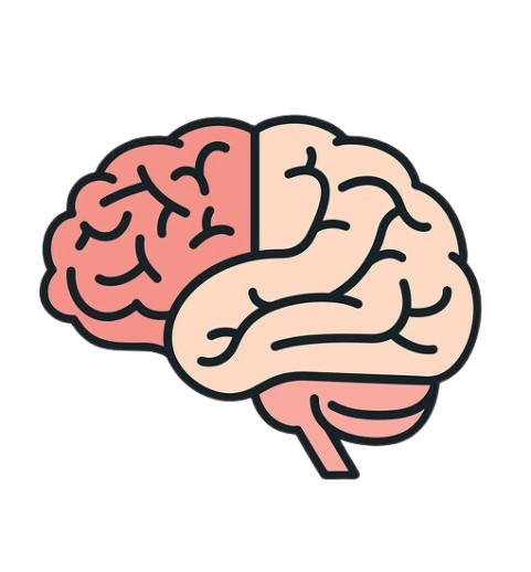 Quiz Icon